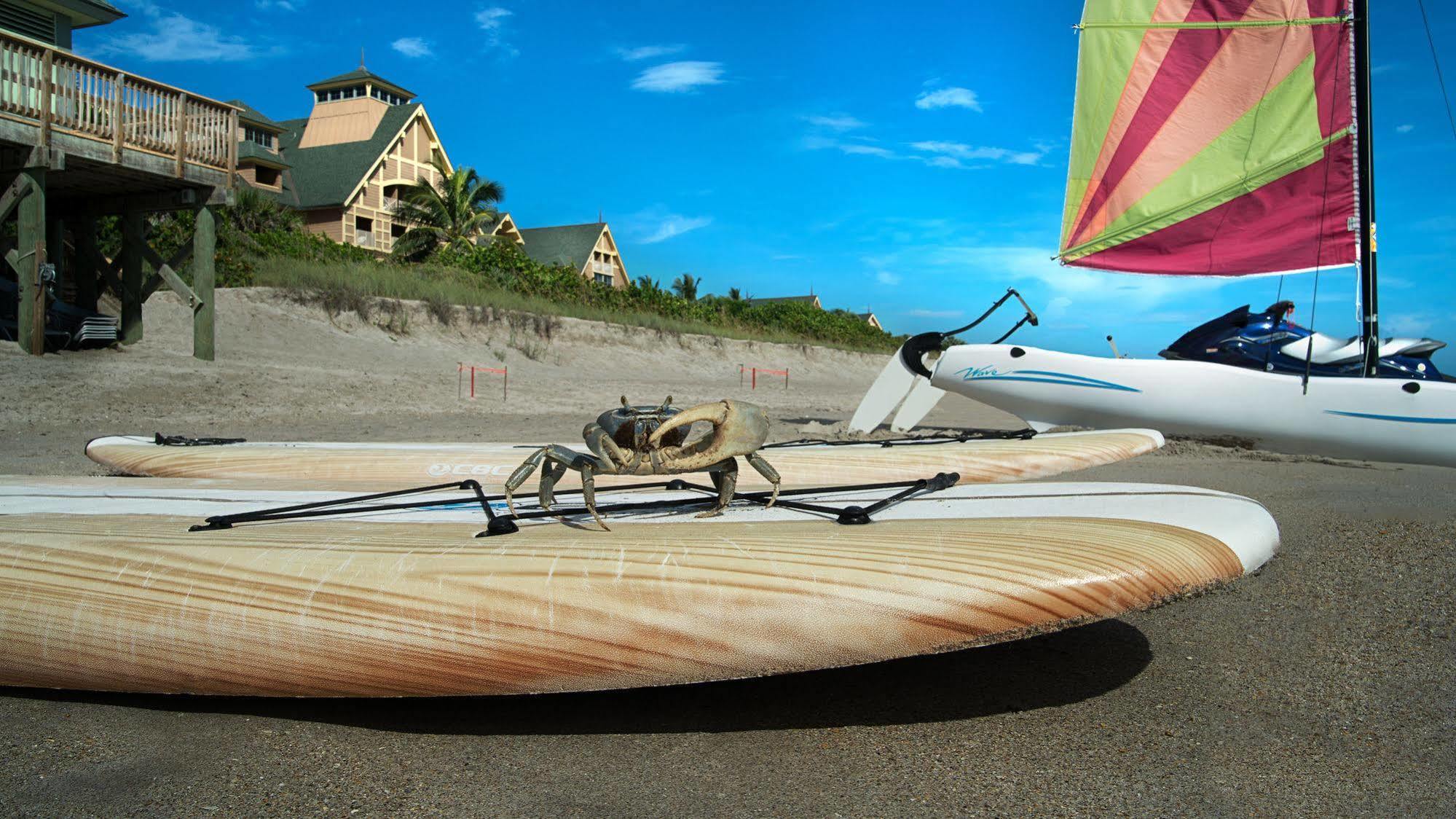 Disney'S Vero Beach Resort Wabasso Beach Εξωτερικό φωτογραφία
